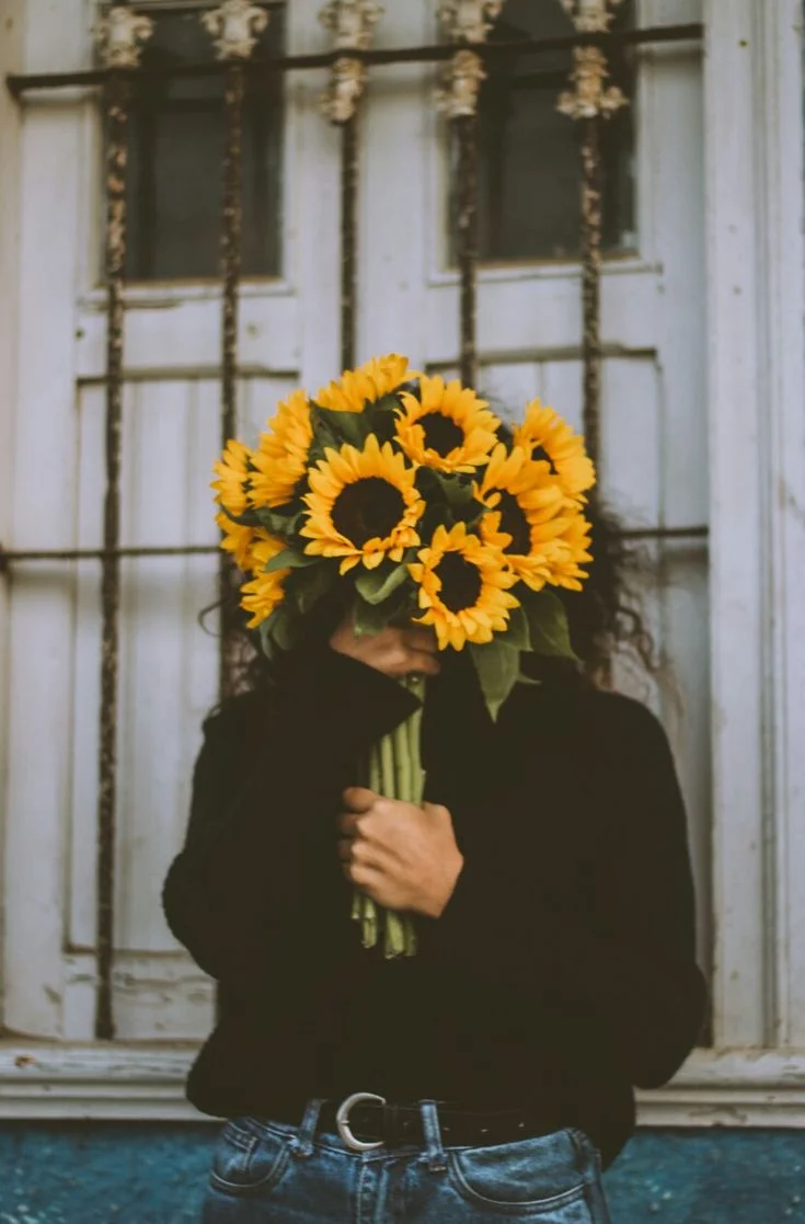 آفـتـابگـردونــ🌻