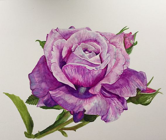 painting-rose-flower-image.jpg