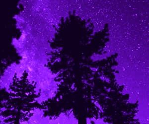 purple aesthetic.jpg