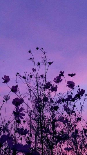Purple Photo_ Peace _ Love.jpg