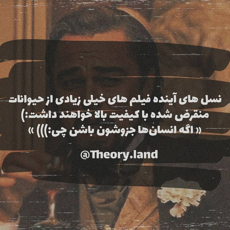 theory.land_13991123_192222236.jpg