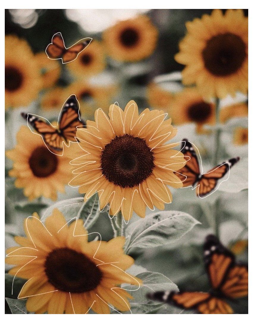 yellow aesthetic butterfly.jpg