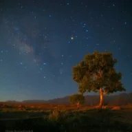 بادیه نشینِ کویرزده