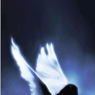 atanaz_amirian