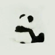 mahdiyeh_81