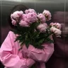 Yasna_nohtani