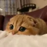 دخترک