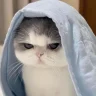 سرجوخه؛