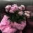 Yasna_nohtani