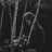 Raha_gg
